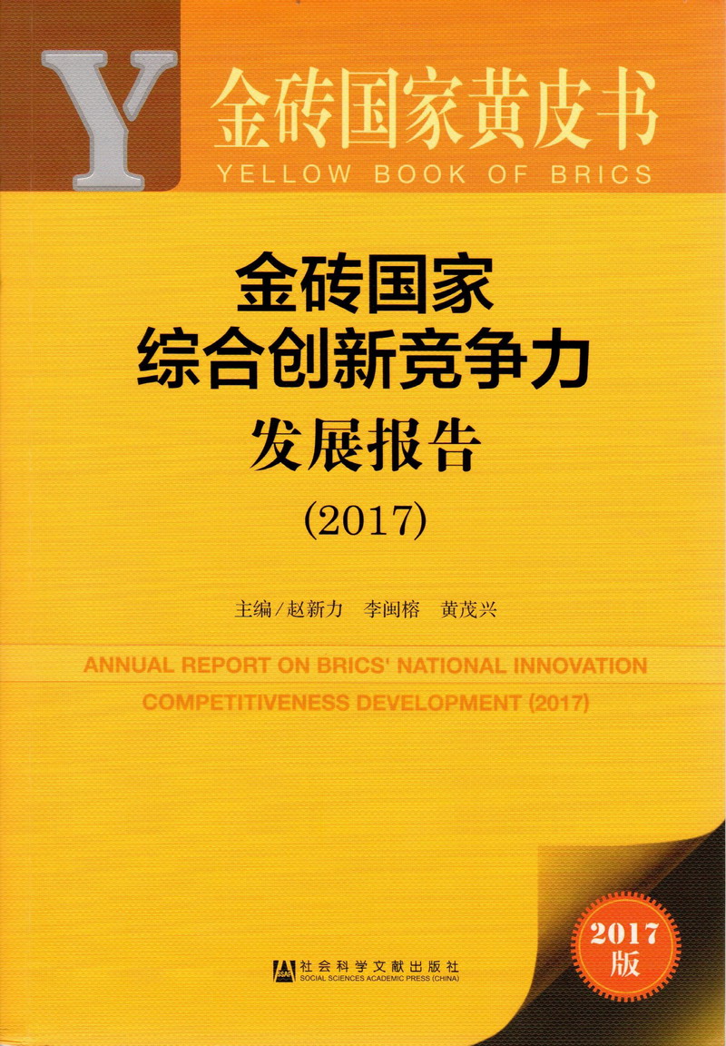 操女人逼视频网站金砖国家综合创新竞争力发展报告（2017）